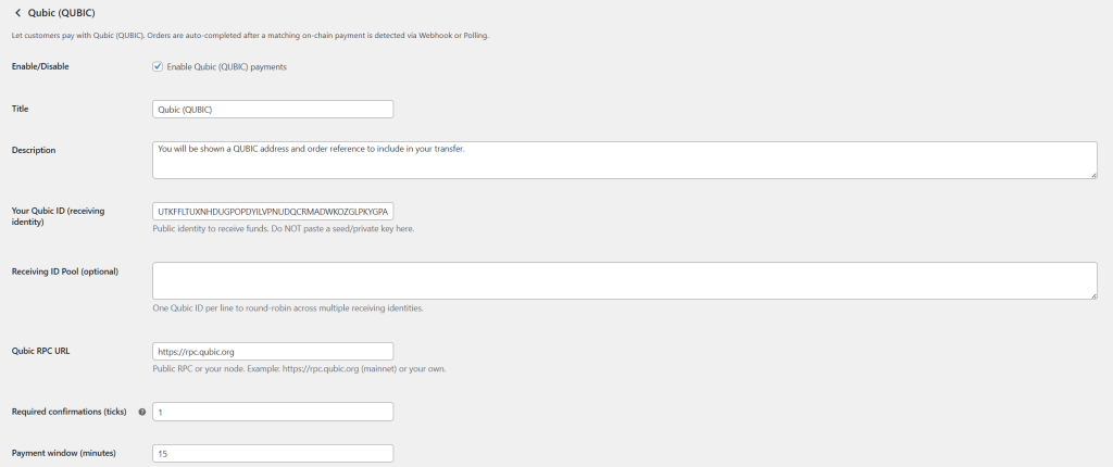 QubicPay backend preview